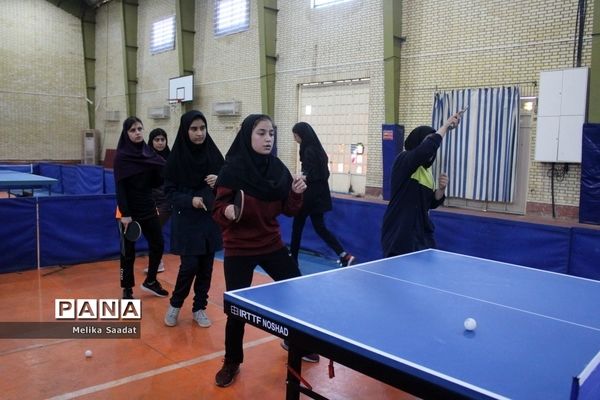 دوره آموزش تنیس روی میز در بوشهر