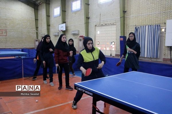 دوره آموزش تنیس روی میز در بوشهر