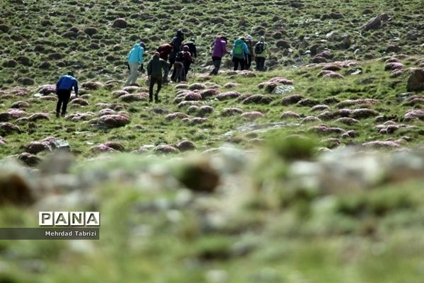 صعود کوهنوردان به ارتفاعات بوزسینه