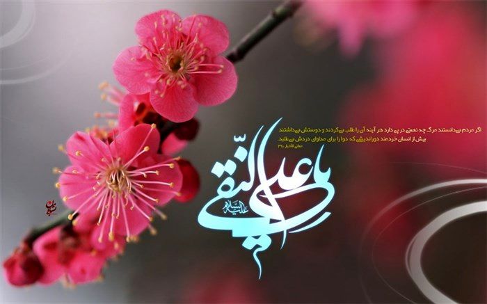 روایت دانش‌آموز خبرنگار پانای شهرستان‌قرچک از زندگی امام هادی(ع)/فیلم