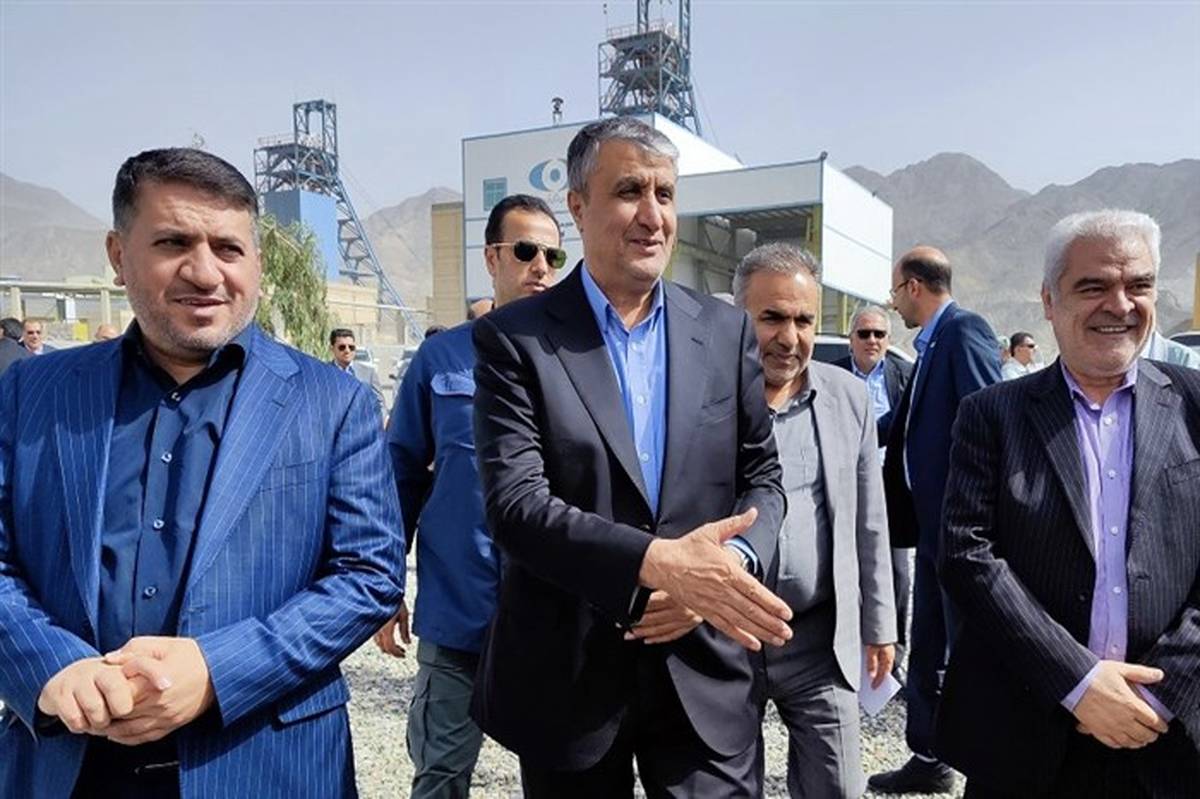 رئیس سازمان انرژی اتمی وارد استان یزد شد