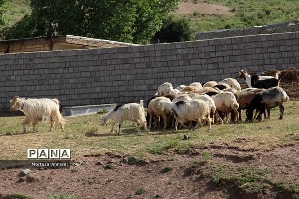 روستای ممش‌خان در شهرستان خوی استان آذربایجان غربی