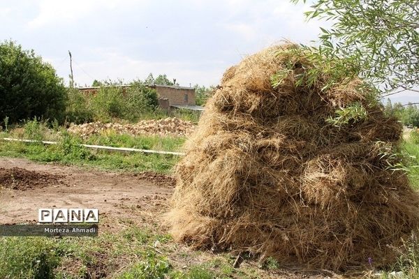 روستای ممش‌خان در شهرستان خوی استان آذربایجان غربی