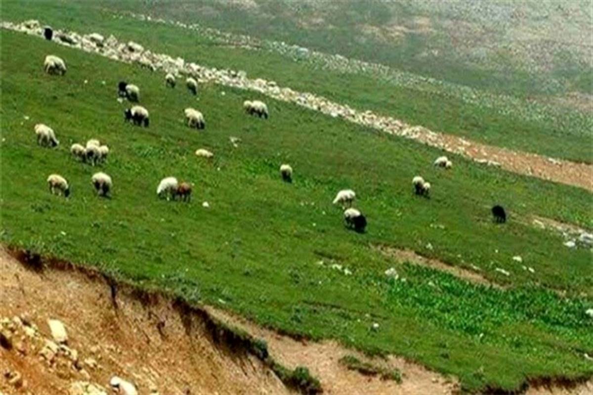 دسترسی به اطلاعات مکانی اراضی کشاورزی با کمک رصدخانه کشاورزی ایران