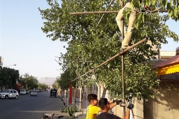سیاه‌پوش شدن مساجد شهرستان بام و صفی‌آباد