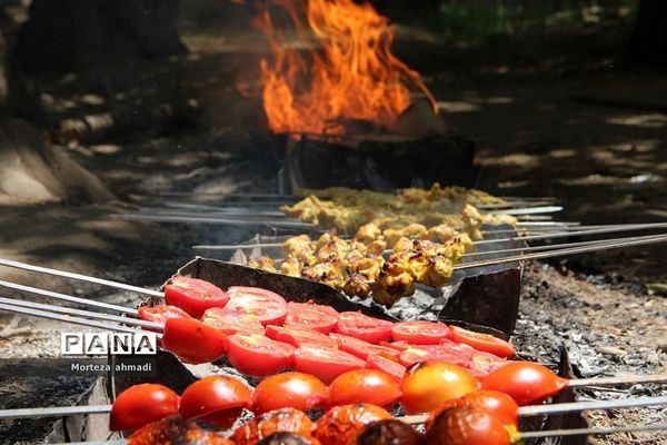 پخت‌و‌پز دانش‌آموزی در اردوی یاورمربیان پیشتاز