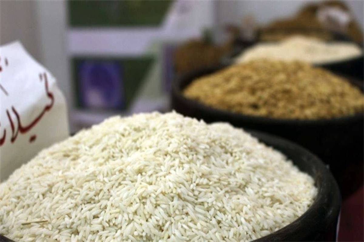قیمت برنج در میادین و بازارهای میوه و تره‌بار ارزان شد