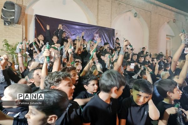 آیین سیاه‌پوشان و تربت‌خوران در حرم مطهر حضرت علی بن حمزه(ع)