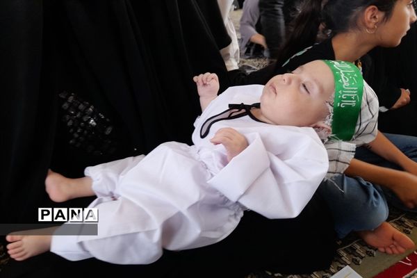 برگزاری همایش شیرخوارگان حسینی در شهرستان فریدونشهر