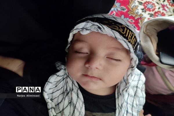 همایش شیرخوارگان حسینی صفاشهر