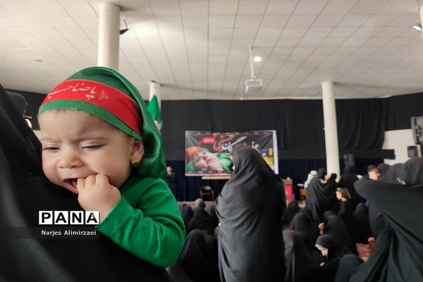 همایش شیرخوارگان حسینی صفاشهر