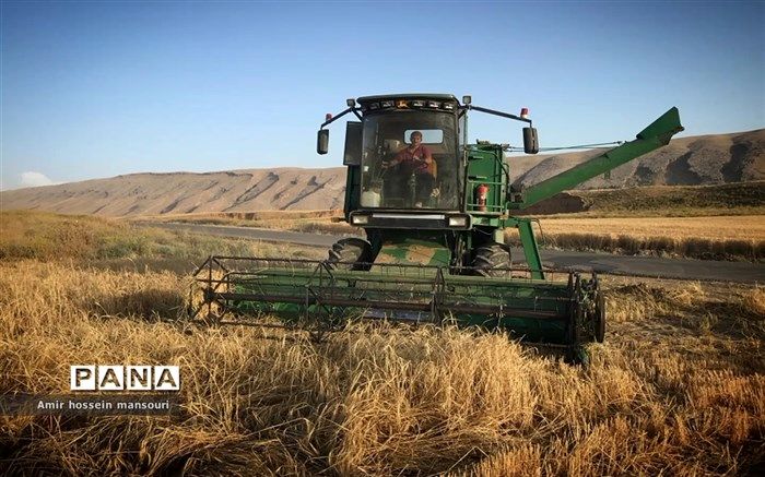 دولت چه میزان گندم از کشاورزان خریداری کرده است؟