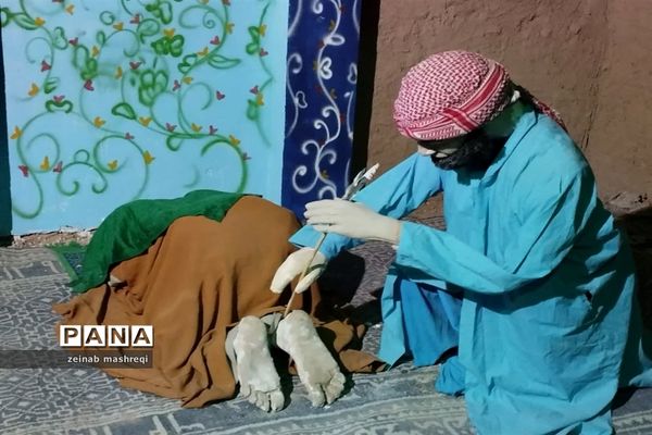 برپایی نمایشگاه روضه رضوان در شهر آئینی و مذهبی نوش‌آباد