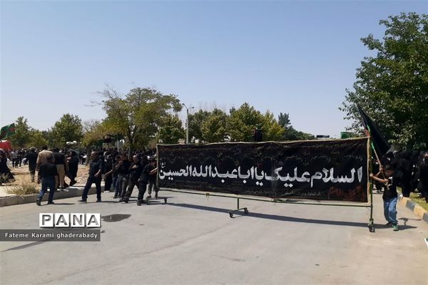سوگواری ایام عزاداری حسین (ع) در قادرآباد فارس