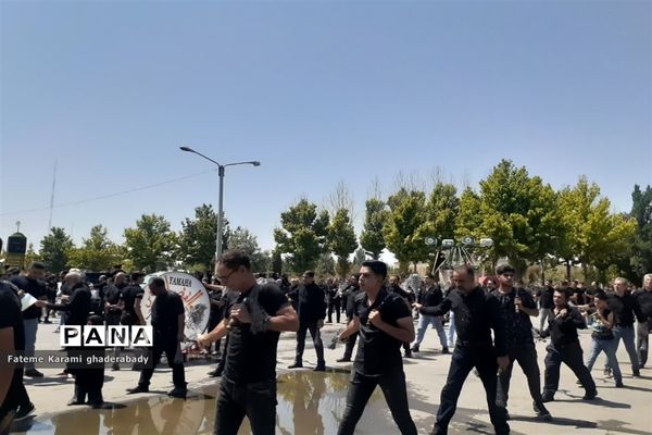 سوگواری ایام عزاداری حسین (ع) در قادرآباد فارس