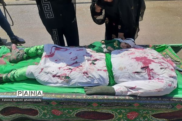 سوگواری ایام عزاداری حسین (ع) در قادرآباد فارس