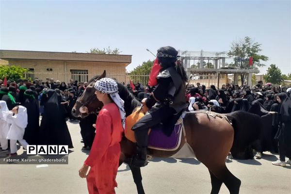 سوگواری ایام عزاداری حسین (ع) در قادرآباد فارس