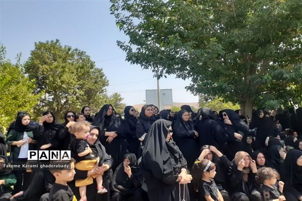 سوگواری ایام عزاداری حسین (ع) در قادرآباد فارس