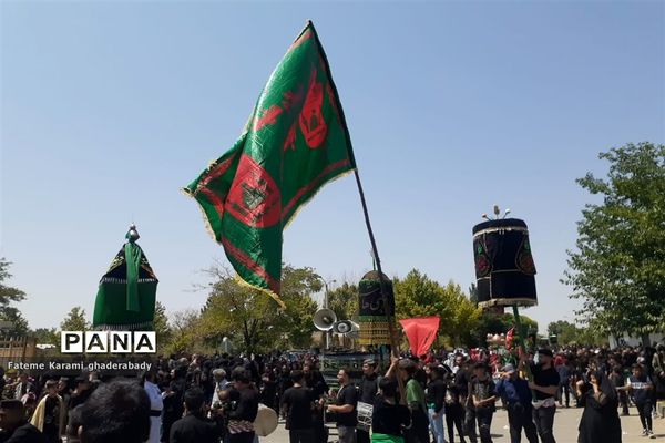سوگواری ایام عزاداری حسین (ع) در قادرآباد فارس