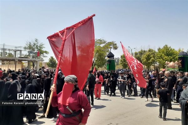 سوگواری ایام عزاداری حسین (ع) در قادرآباد فارس