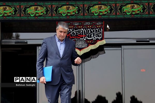حاشیه جلسه هیات دولت