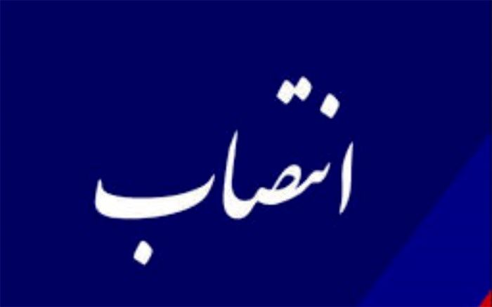 مشاور وزیر صمت در طرح نهضت ملی مسکن منصوب شد