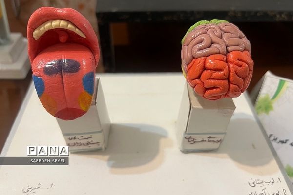 نمایشگاه دست سازه‌های آزمایشگاهی پژوهش‌سرای دانش‌آموزی کاوش