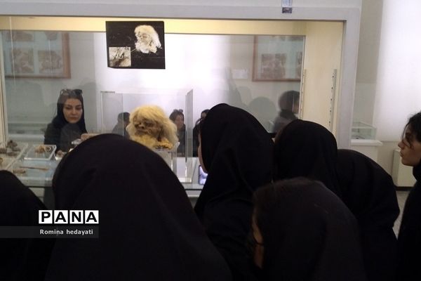 بازدید دانش‌آموزان هنرستان مبتکران رودهن از موزه ملی