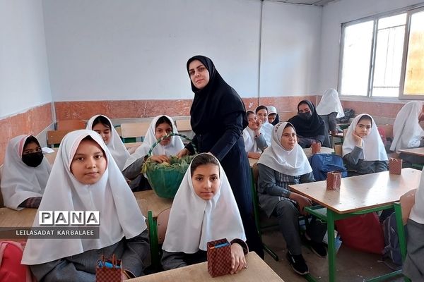 جلسه آموزش بهداشت دوران بلوغ در دبستان دخترانه قیام کهریزک