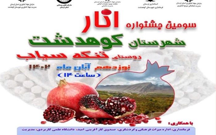 برگزاری جشنواره انار لرستان /فیلم