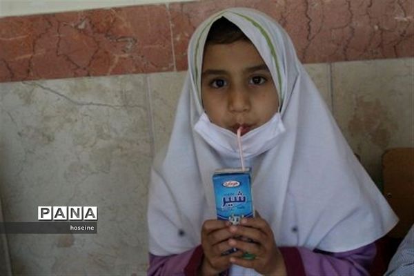 آغاز توزیع شیر در مدارس خراسان جنوبی