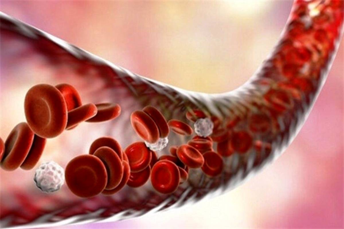ذخیره بیش از ۴ هزار واحد سلول بنیادی خون‌ساز در بانک خون بند ناف