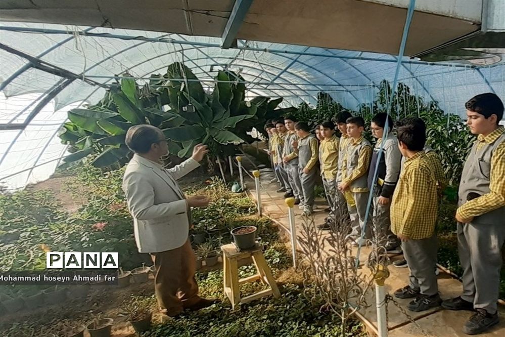 بازدید دانش‌آموزان دبستان پسرانه شهاب از گلخانه مرکز فنی و حرفه‌ای شماره ۱۷ کاشمر