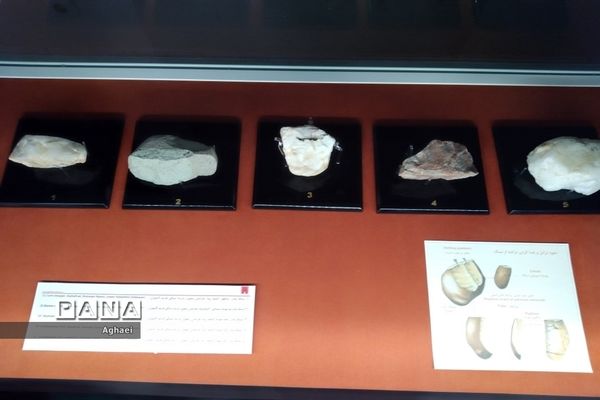 بازدید دانش‌آموزان علوم انسانی از موزه ایران باستان