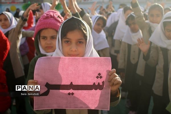طرح توزیع شیر رایگان در مدارس استان بوشهر