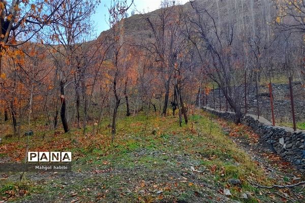 زیبایی روستای دهبار طرقبه در فصل پاییز