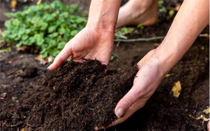 آیین‌نامه اجرایی قانون حفاظت خاک به‌زودی ابلاغ می‌شود