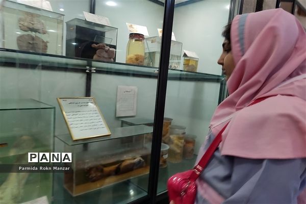 بازدید علمی دانش‌آموزان دبستان شاهد فاطمه الزهرا(س)ازموزه تاریخ طبیعی و تکنولوژی دانشگاه شیراز