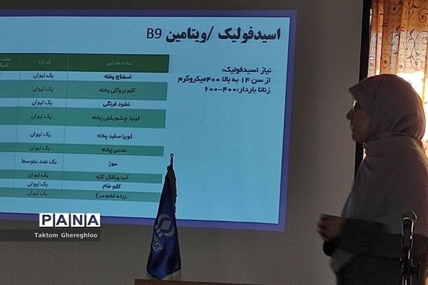 برگزاری کارگاه آموزشی طرح آهن‌یاری در آموزش و پرورش ناحیه یک شهرری