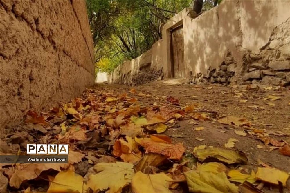 فصل پاییز در شیراز