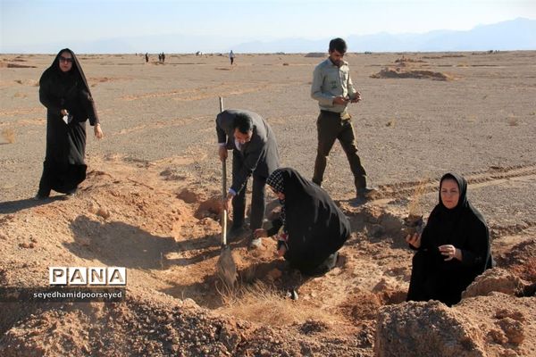 آغاز کاشت نهال تاغ در منطقه ۳۵۰۰ هکتاری غرب ابرکوه