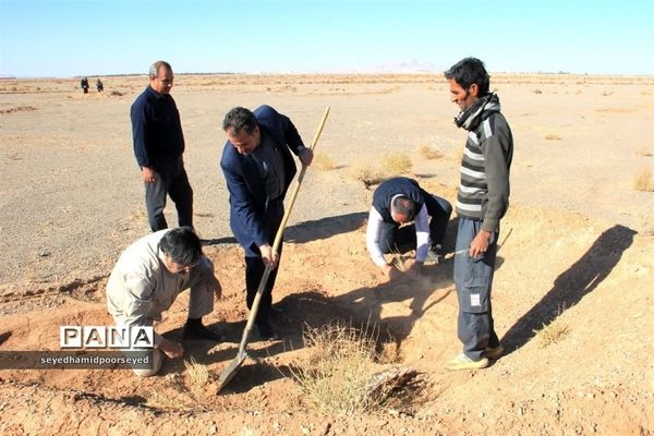 آغاز کاشت نهال تاغ در منطقه ۳۵۰۰ هکتاری غرب ابرکوه