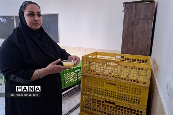 تشییع شهید گمنام در دبستان معارف 6 ناحیه 3 شیراز
