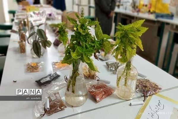 بازید مدیر آموزش و‌ پرورش شهرستان کلات از نمایشگاه هفته پژوهش و فناوری پژوهشسرای ابوریحان