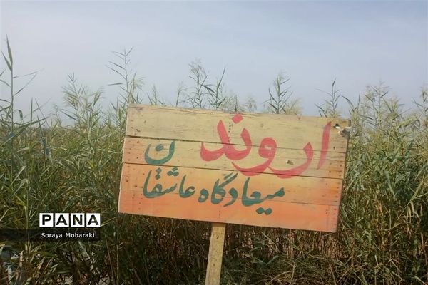 بازدید کاروان فرهنگیان راهیان نور شهرستان شیروان از مناطق جنگی جنوب