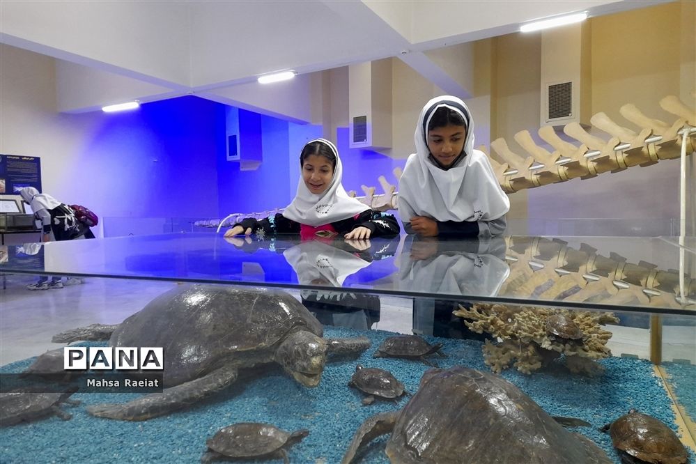 بازدید دانش‌آموزان مدرسه ظریف‌کارفرد از موزه تاریخ طبیعی