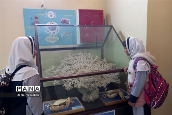 بازدید دانش‌آموزان مدرسه ظریف‌کارفرد از موزه تاریخ طبیعی