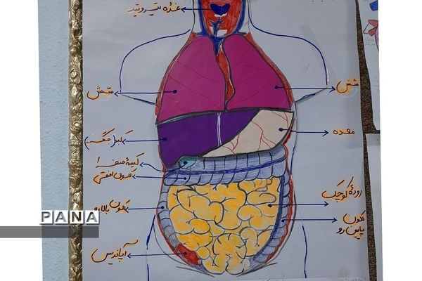 نمایشگاه زیست شناسی در مدرسه مریم عذرا دماوند