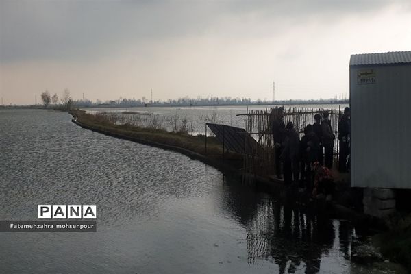 بازدید دانش‌آموزان وزرا محله از تالاب قو سرخ رود