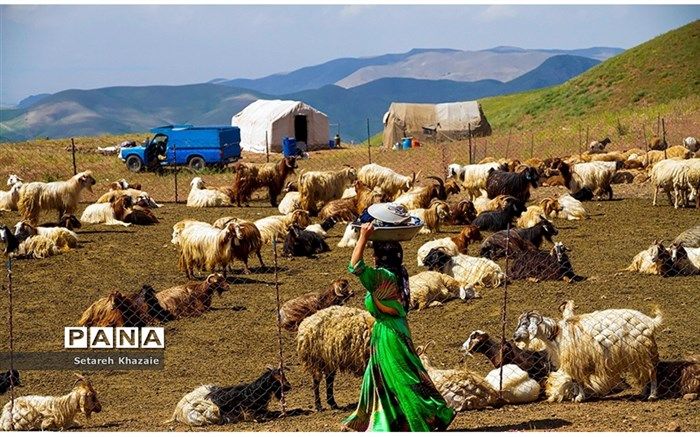 برگزاری اردوی زیست عشایری برای اولین بار ویژه دانش‌آموزان‌